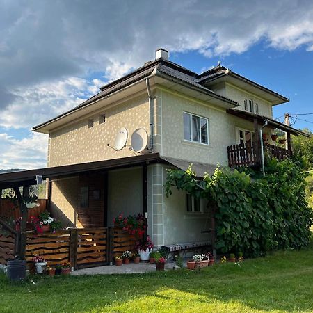 Casa Danut Vidra (Alba) Exterior foto